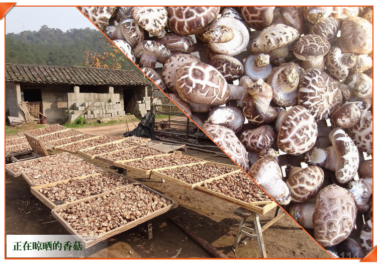 几多好 湖北特产干货农家特级野生干香菇食用菌小花菇冬菇