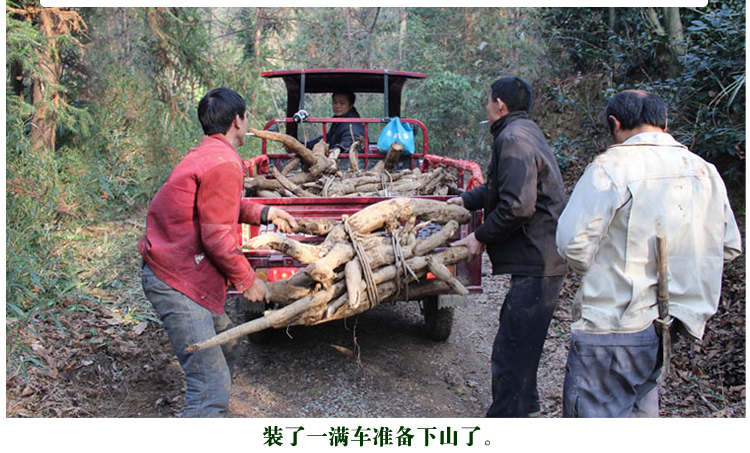   湖北荆门特产几多好纯天然野生葛粉 北大洪山野葛粉正品农家葛根粉柴葛粉