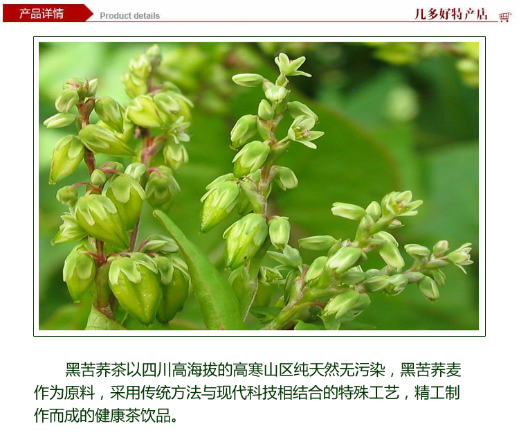 湖北荆门特产几多好苦荞茶黑苦荞茶 正品全株 苦荞 荞麦茶黑苦荞胚芽茶