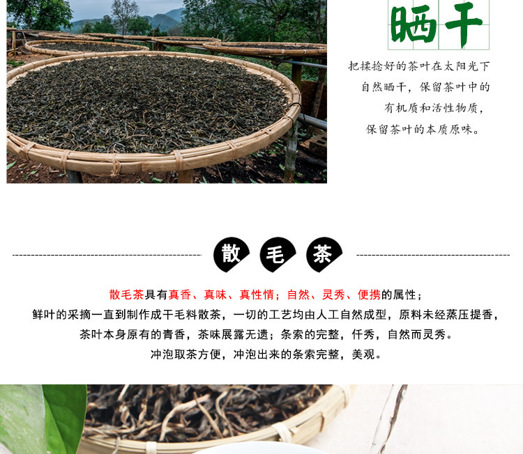 云南普洱生茶 老曼娥古树纯料 生茶 普洱散茶 明前早春茶毛料茶250克