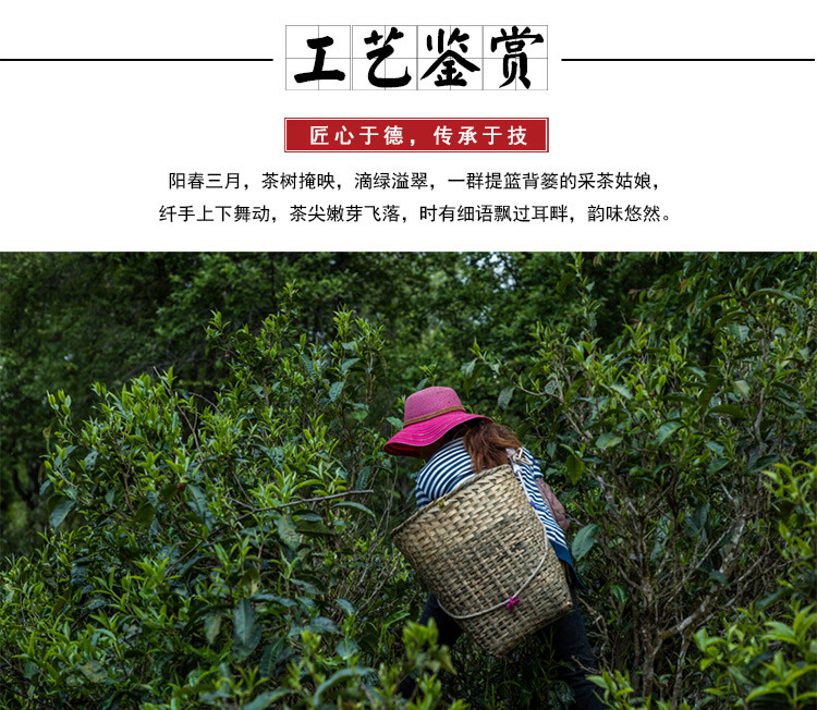 云南普洱生茶 老曼娥古树纯料 生茶 普洱散茶 明前早春茶毛料茶250克