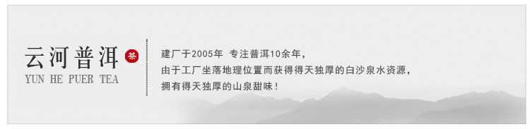 普育 勐海青沱 早春茶叶 云南普洱生茶 100克沱 10年老茶 2007年