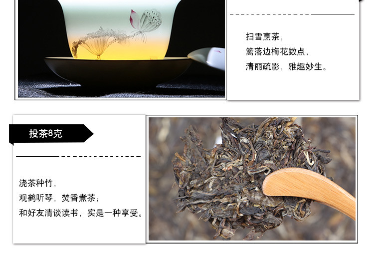 普育 经典生饼 勐海之春 云南普洱茶生茶叶 125g陈年老茶 2011年