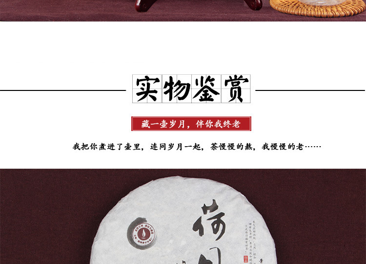 西勐 荷月蜂蝶来 景迈古树早春茶 云南月光白茶饼357克2015 新品