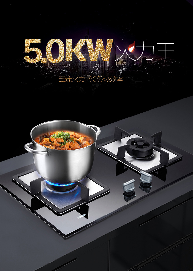 Sacon/帅康 QA-E5-68B燃气灶台嵌两用大火力5000W