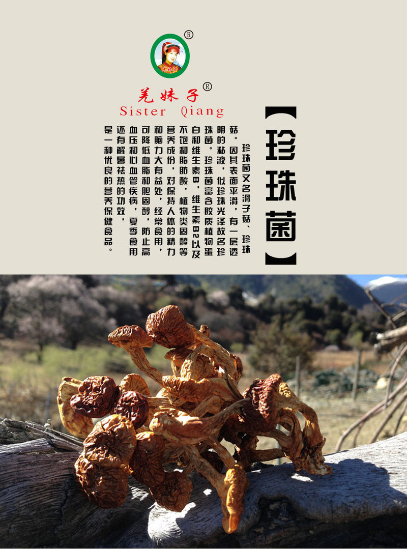 北川羌妹子珍珠菌50g罐装