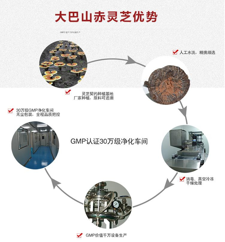 秦巴康养大巴山特产野生灵芝 灵芝片正品养生灵芝茶袋装