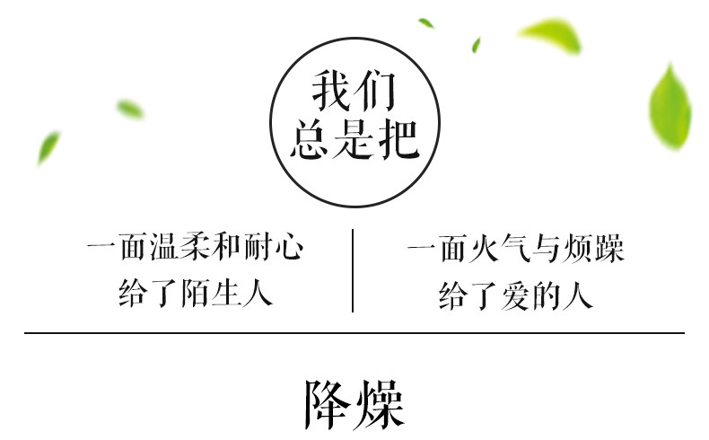 养生印 清热解暑 袋泡茶 金银花茶精装