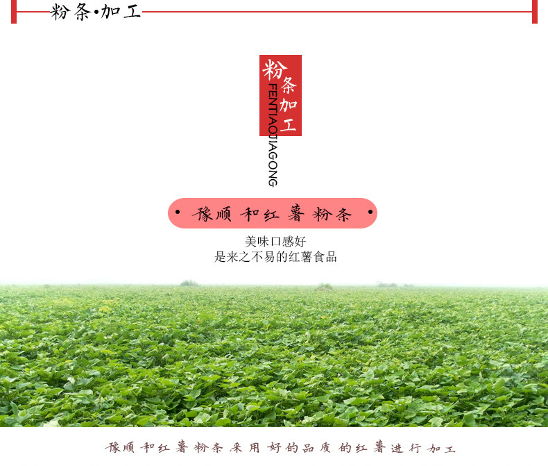 【邮乐安阳馆】汤阴豫顺和手工红薯粉条1000g 包邮