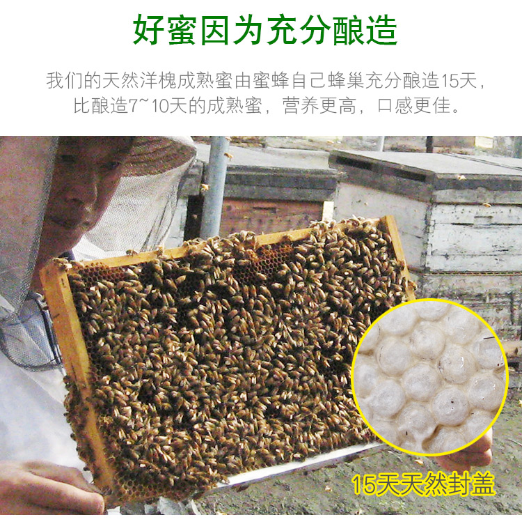 真爱之蜜纯正优质健康绝不掺假纯天然洋槐正宗成熟蜂蜜500克