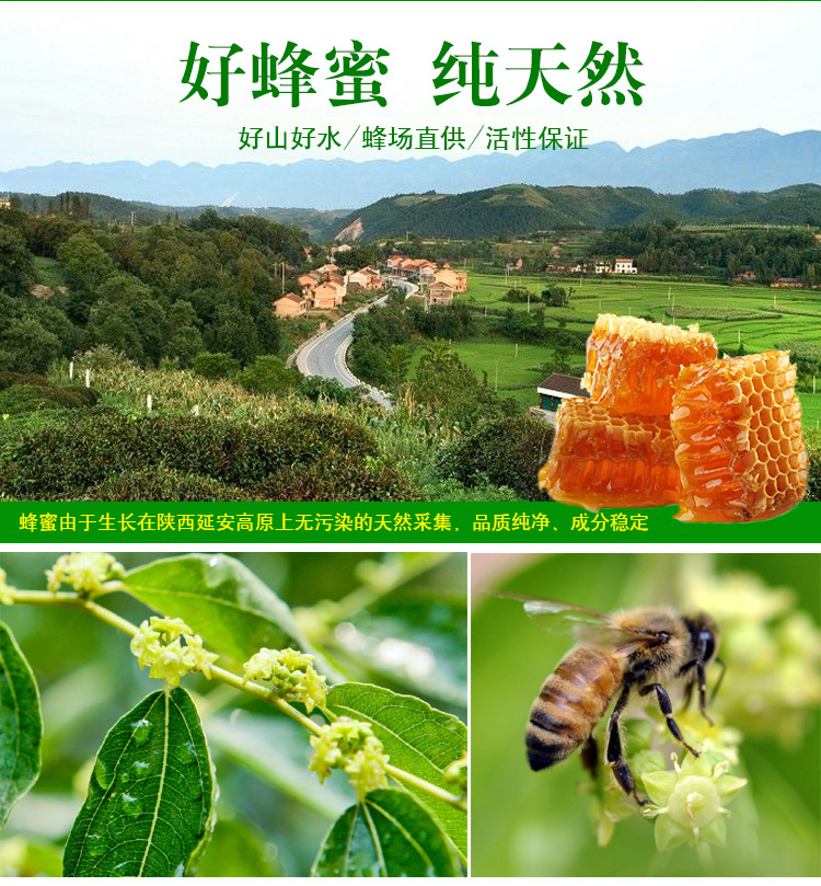 真爱之蜜新鲜正宗成熟枣花好蜂蜜农家自产天然土蜂蜜野500g