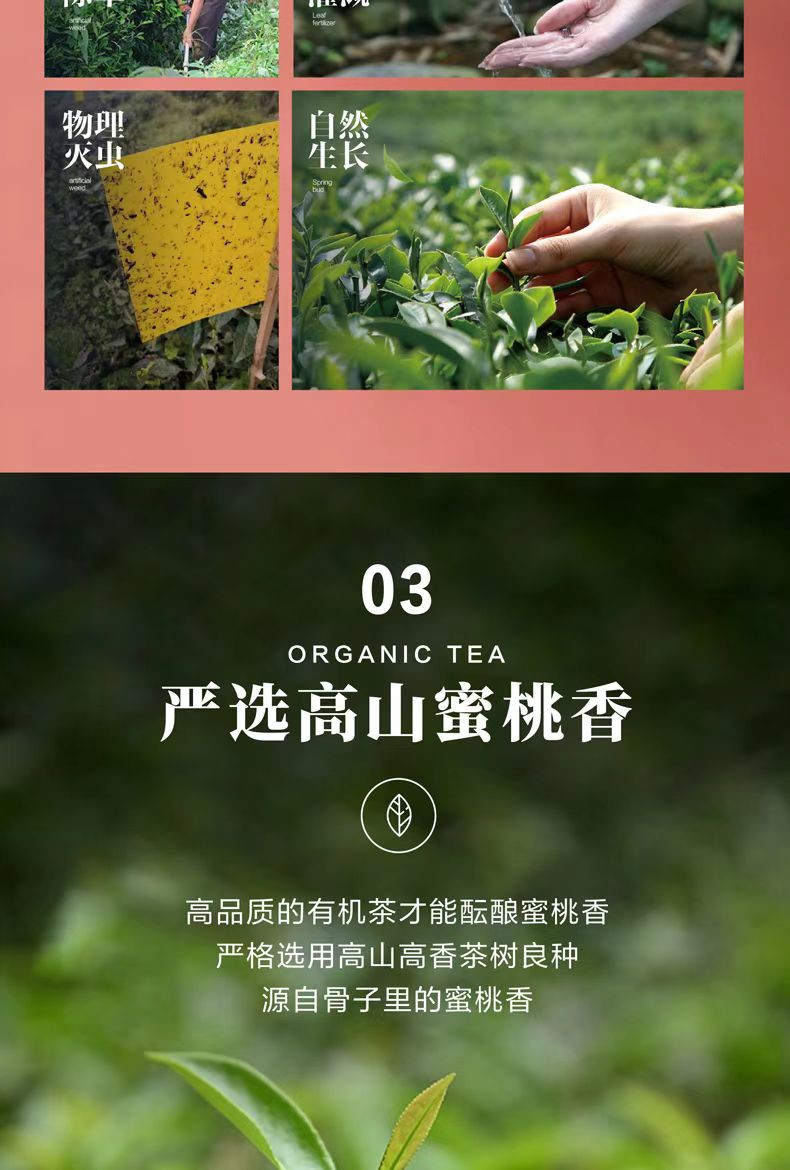 悠谷春 【松邮农品】蜜桃香有机红茶125g/罐