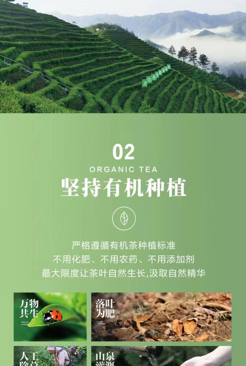 悠谷春 【松邮农品】谷雨香有机绿茶125g/罐