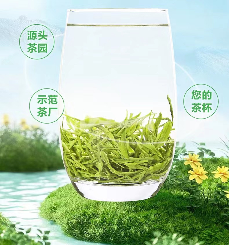 悠谷春 【松邮农品】松阳香茶-地理标志