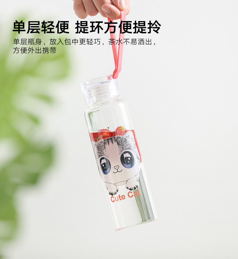 ABS爱彼此 高硼硅玻璃便携水壶水杯泡茶杯-银莲花（400ml）