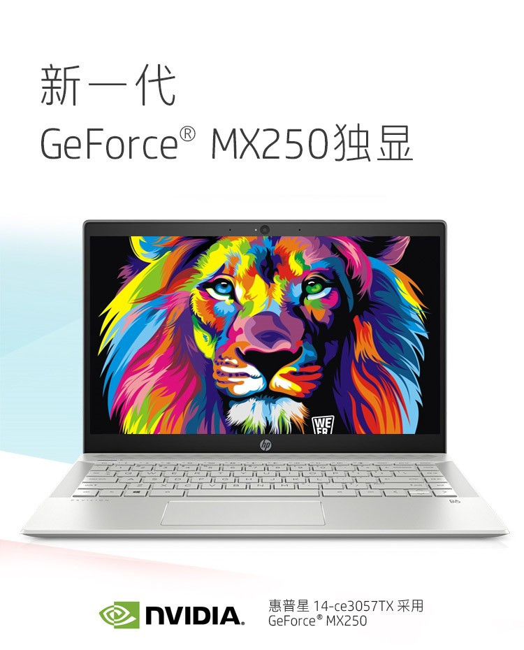 【惠普/HP】星14 P14-ce3028TX银色 14英寸轻薄笔记本电脑 学生轻薄本 十代CPU