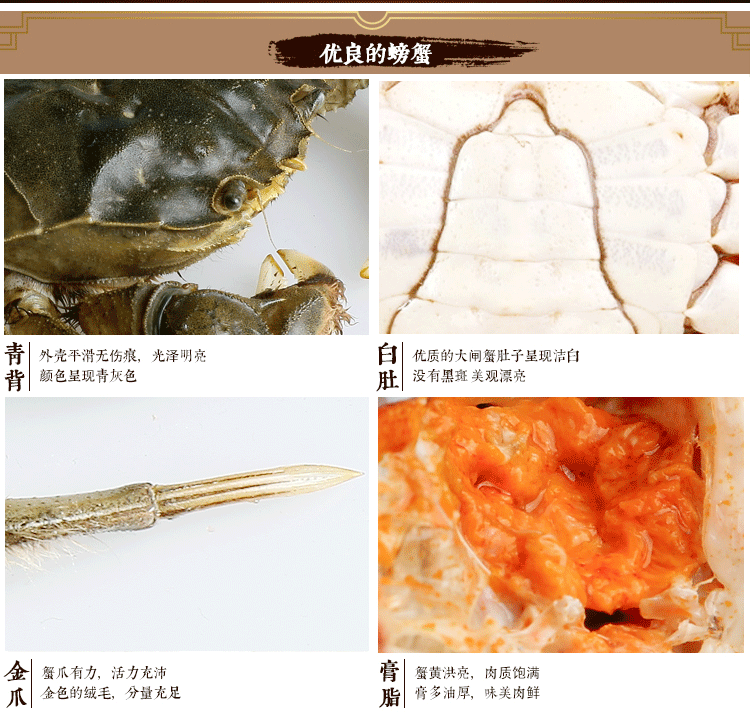 汈汊螺蛳湖大闸蟹鲜活现货新鲜螃蟹红膏大闸蟹全母2.4-2.0两六月黄大只河蟹团购