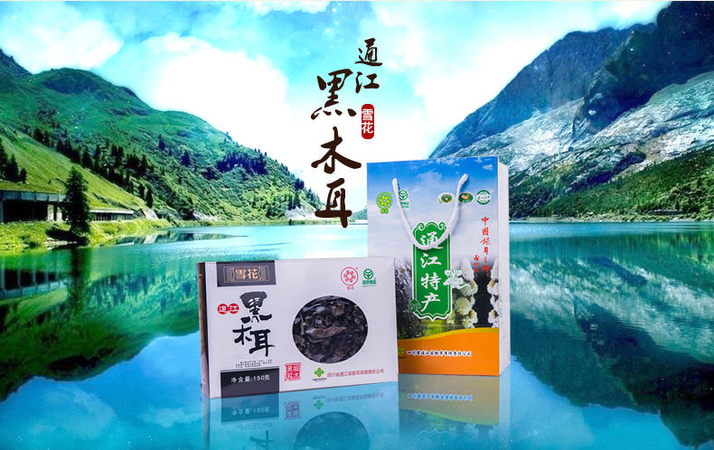 雪花 通江黑木耳 500g 盒装  100%椴木野外生长