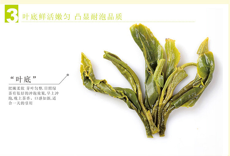 徽德祥 日照绿茶 2018年新茶56克小泡罐装 山东日照绿茶 绿茶茶叶