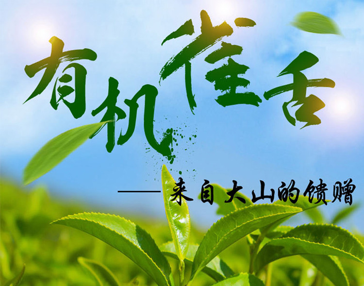 徽德祥 徽德祥 明前绿茶雀舌茶 50克罐装 芽头绿茶 茶叶