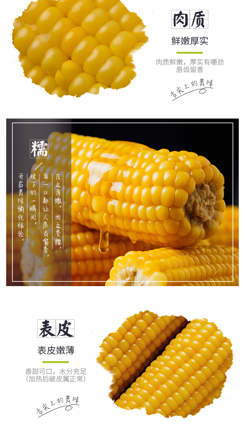 【千里辽河】【四平馆】鲜食玉米(独立包装)（单穗）（公主岭 发货）