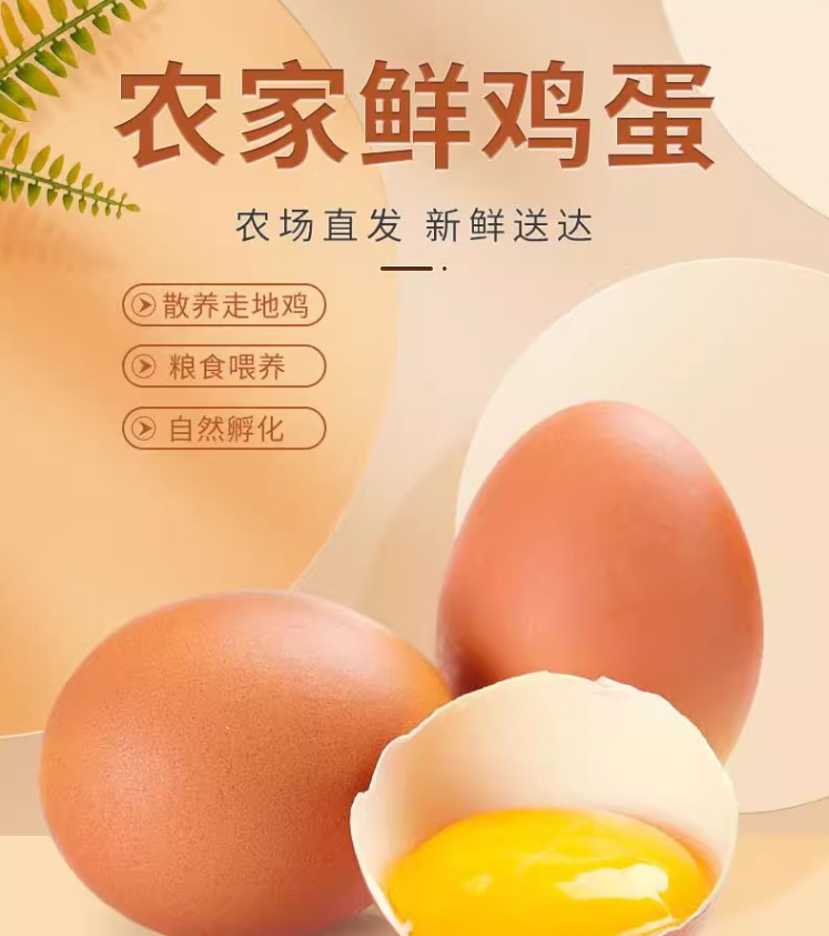 农家自产 鸡蛋4个装仅限遂昌县网点加站点兑换