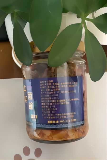 lijiangzhongyuan 丽江永胜中源公司  牛肝菌酱