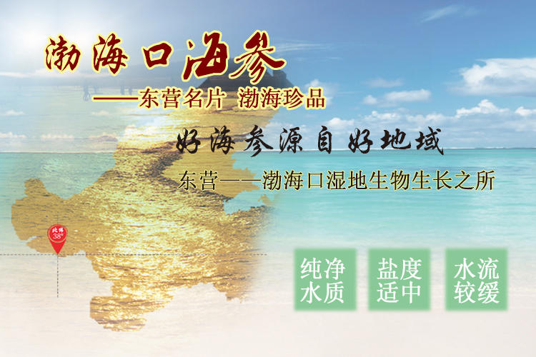 渤海口 3年5A淡干海参 11-12头 50g 送礼 海参干货