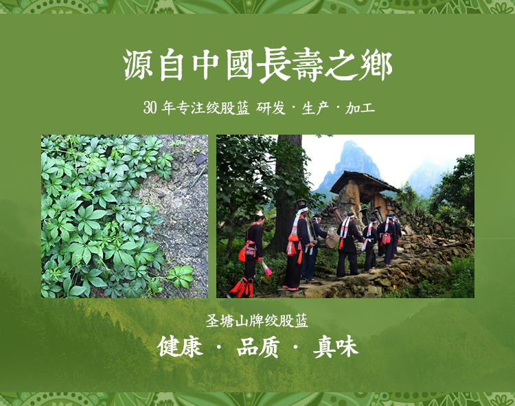 广西来宾圣塘山野生绞七叶茶（偏甜）