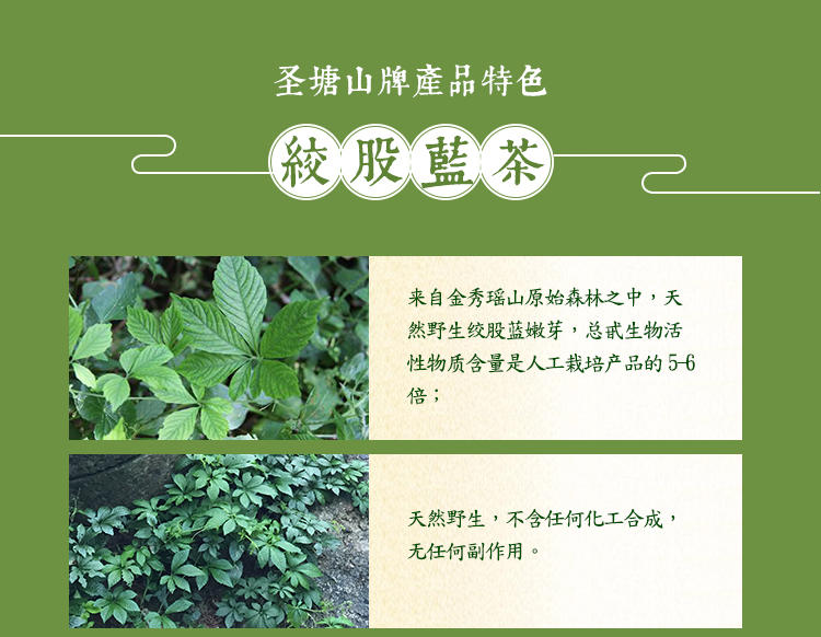 广西来宾圣塘山野生绞七叶茶（偏甜）