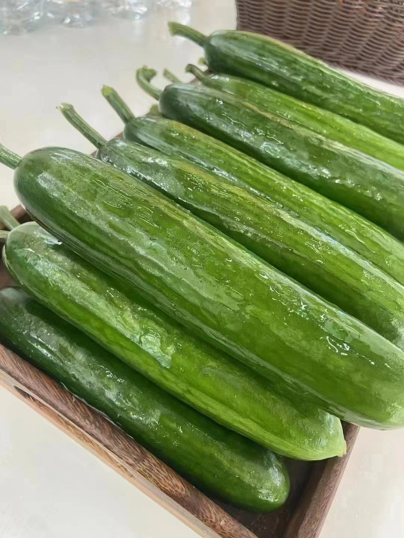 邮鲜生 【来宾振兴馆】水果黄瓜2.5公斤按绿色食品标准种植