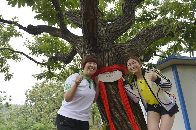 乡伊香 迁安特产鲜迁安板栗 坚果零食生栗子3斤装包邮