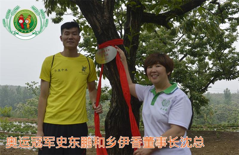 乡伊香 迁安特产鲜迁安板栗 坚果零食生栗子3斤装包邮