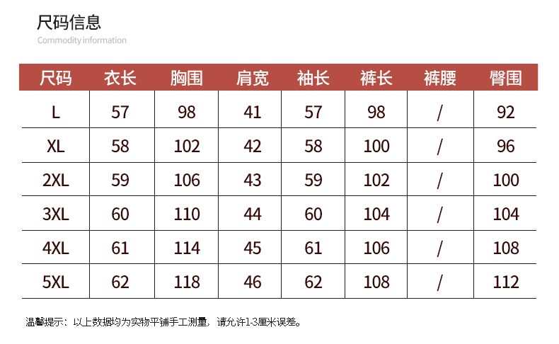 SP中老年女装2020春季新款妈妈休闲运动套装两件套洋气卫衣宽松大码