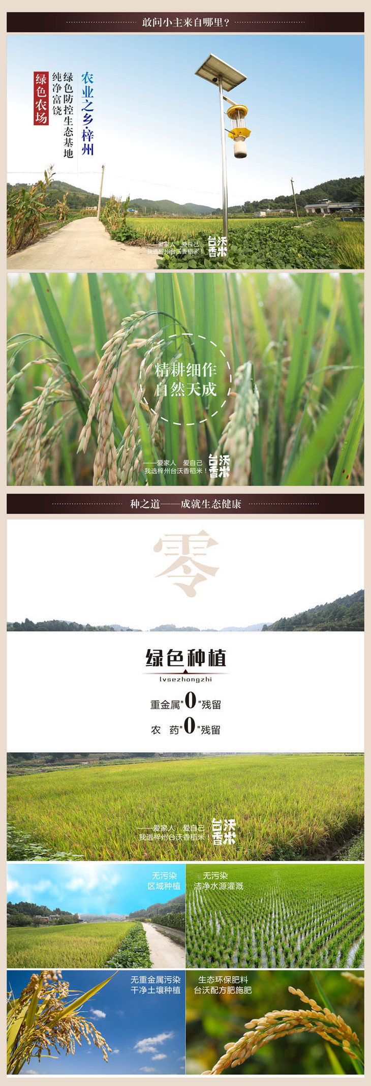 梓州”台沃香米“ 2.5kg 绿色食品 稻鸭共育 生态种植