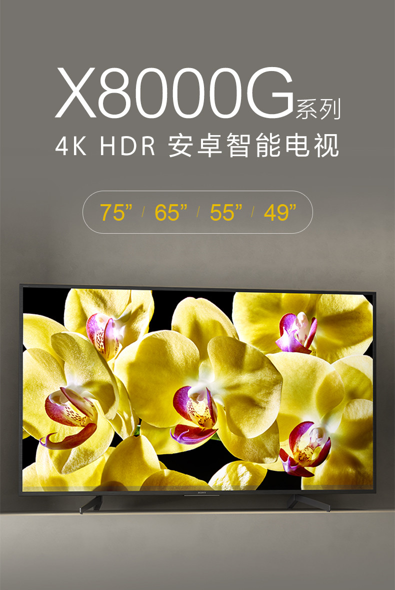 【中山馆】索尼/SONY 65寸4K超清HDR安卓智能网络WIFI液晶电视KD-65X8000G