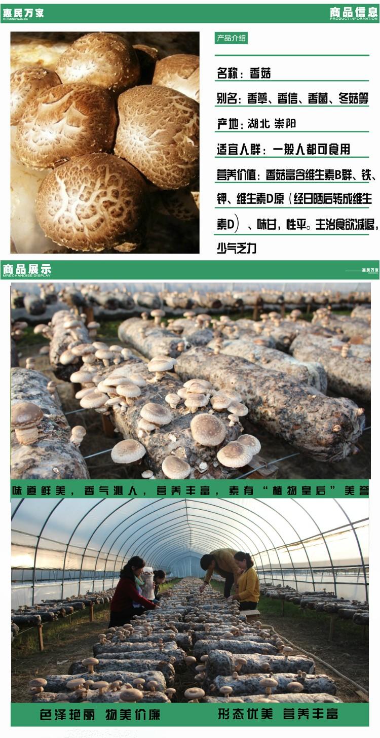 [预售]咸宁崇阳农家现摘新鲜香菇（3斤装）23.9包邮 11月30日后统一发货