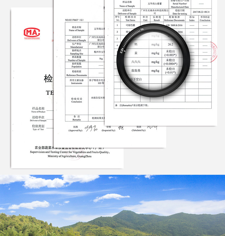 【梅州馆包邮】生长地五华高山红薯小蜜薯香甜软糯5斤礼盒装