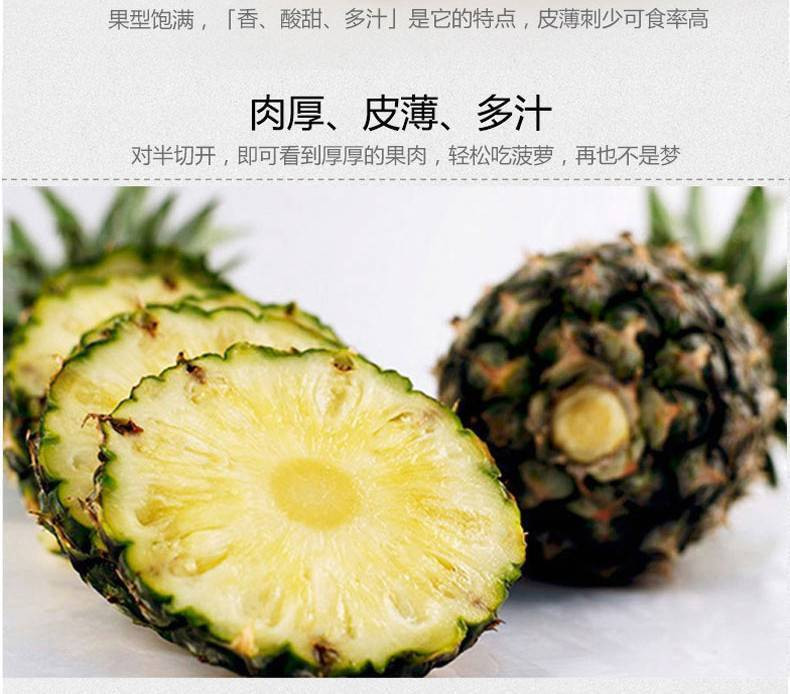 湛江徐闻新鲜水果大菠萝广东特产2个装 邮政农品精美礼盒装