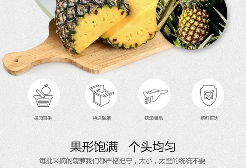 湛江徐闻新鲜水果大菠萝广东特产2个装 邮政农品精美礼盒装