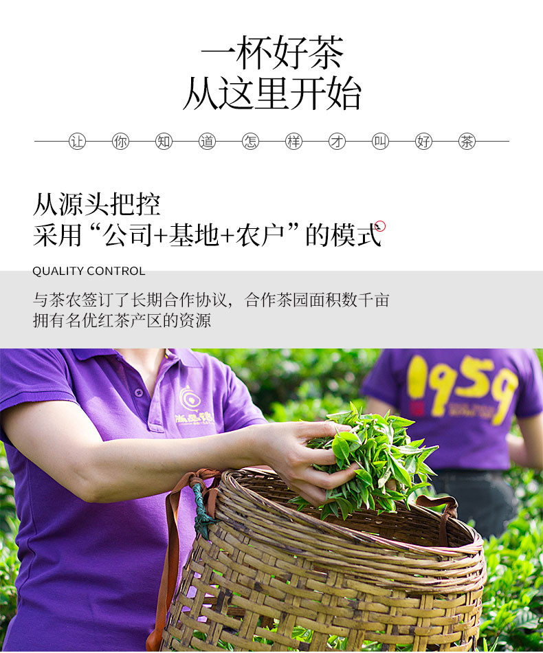 【清远振兴馆】（茗系）100g罐装 英德红茶 广东清远特产茶叶 正品醇香 SPDM