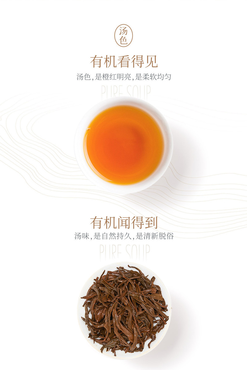 【清远振兴馆】广东清远英德T三有机茶 高端金罐100g 英红九号一级免洗无农残无化肥