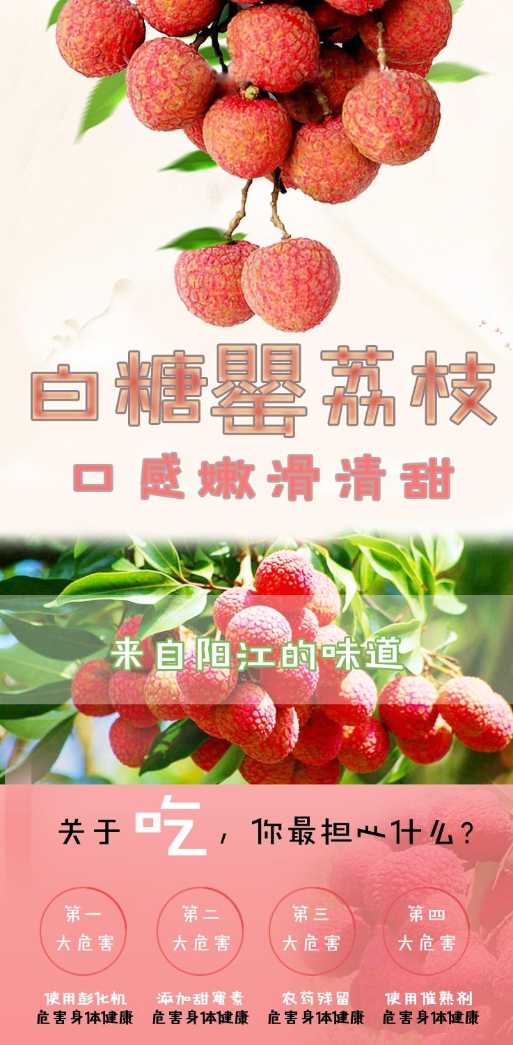 【预售】【广东荔枝节】新鲜荔枝农家自产新鲜水果荔枝新鲜白糖罂荔枝8斤（限广东省内购买）