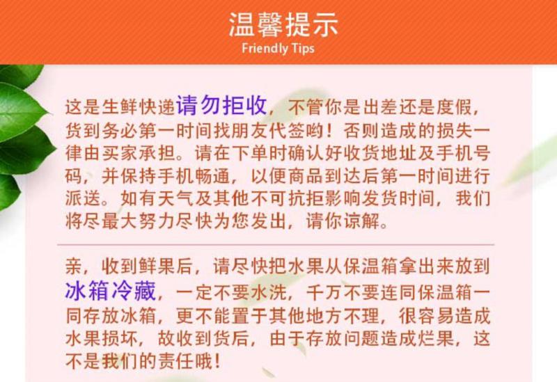 【预售】【阳江馆】农家自产红水晶火龙果不同于一般红肉火龙果的珍稀品种8个装5斤