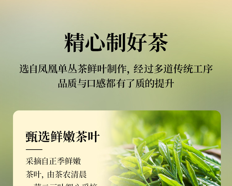 宋茶荟 【乡村振兴 潮州馆】宋茶荟凤凰单丛茶 鸭屎香春茶体验装20g/盒 新旧包装随机发货