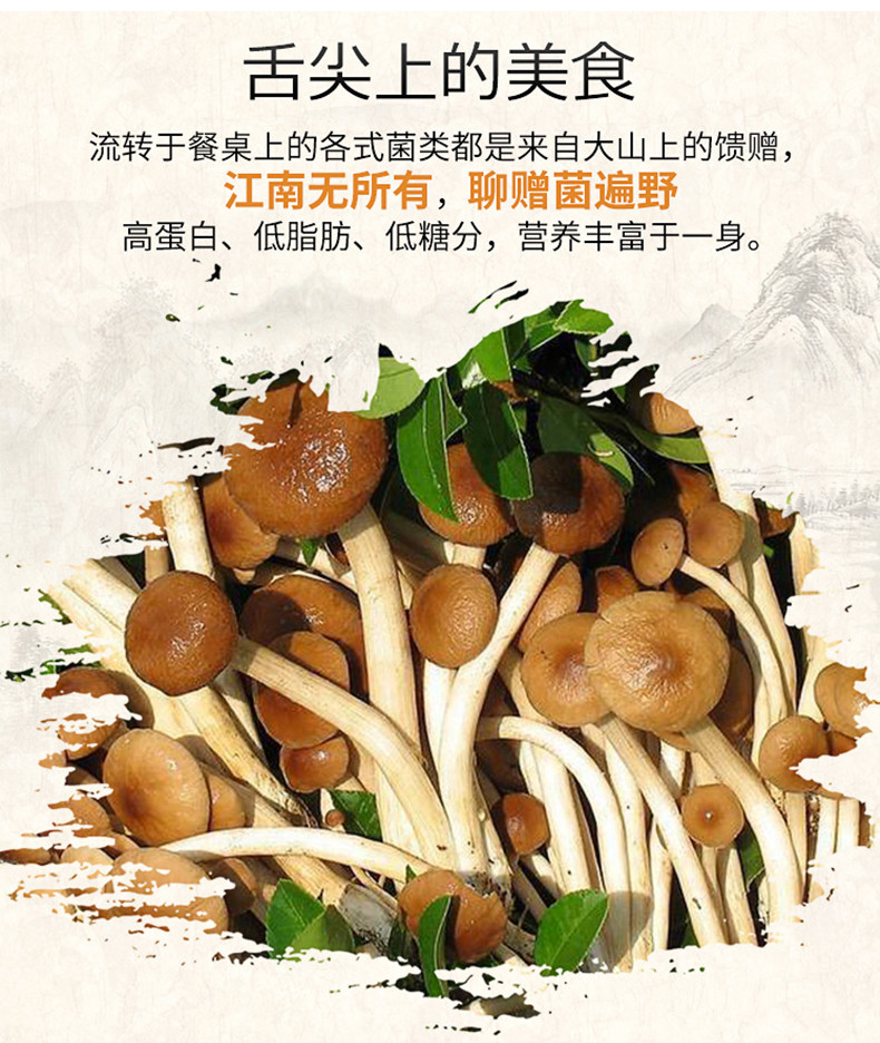 紫云仓 【潮州振兴馆】茶树菇250g