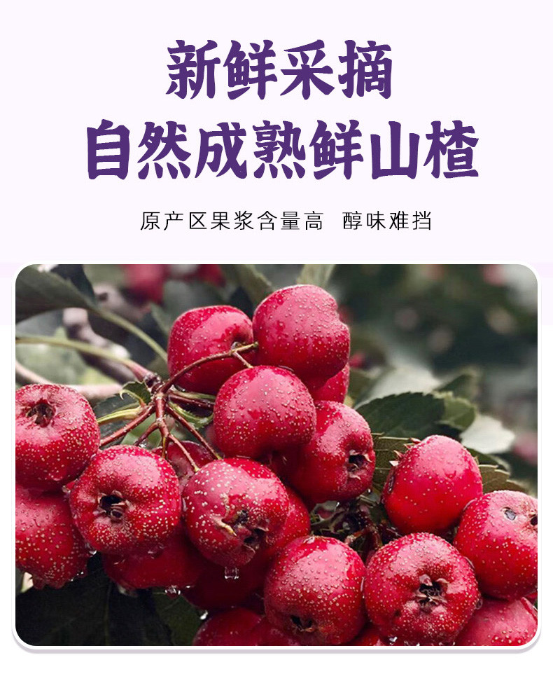 怡达 【东莞馆】冻干糖葫芦200g