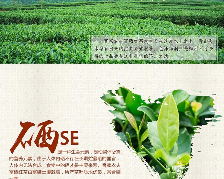 梅州客家特产 客家农夫富硒红茶品素方盒240g 2016新茶茶叶 特级