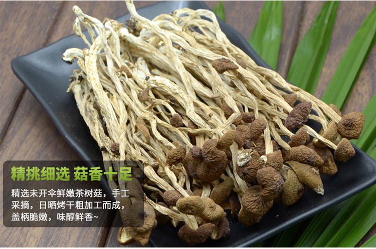  茶树菇