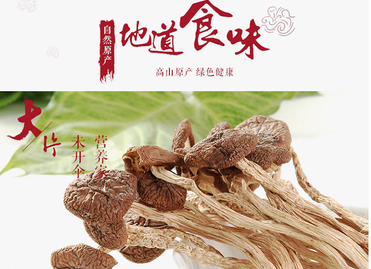  茶树菇